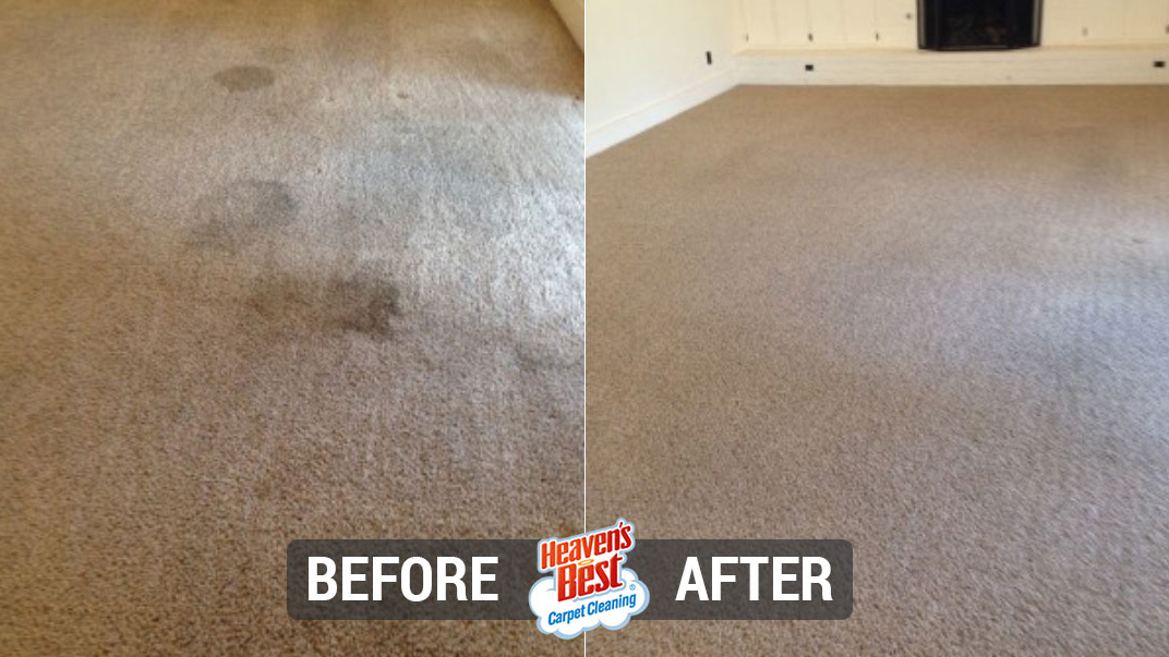 Heaven's Best Carpet Cleaning of Silicon Valley
