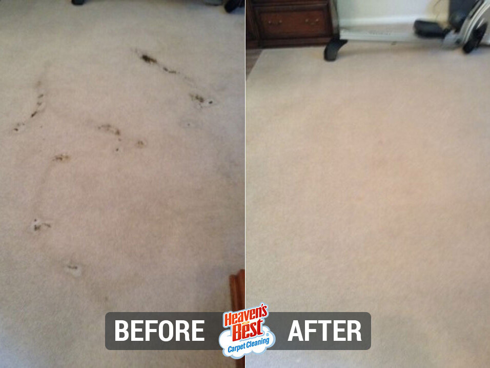Heaven's Best Carpet Cleaning of Silicon Valley