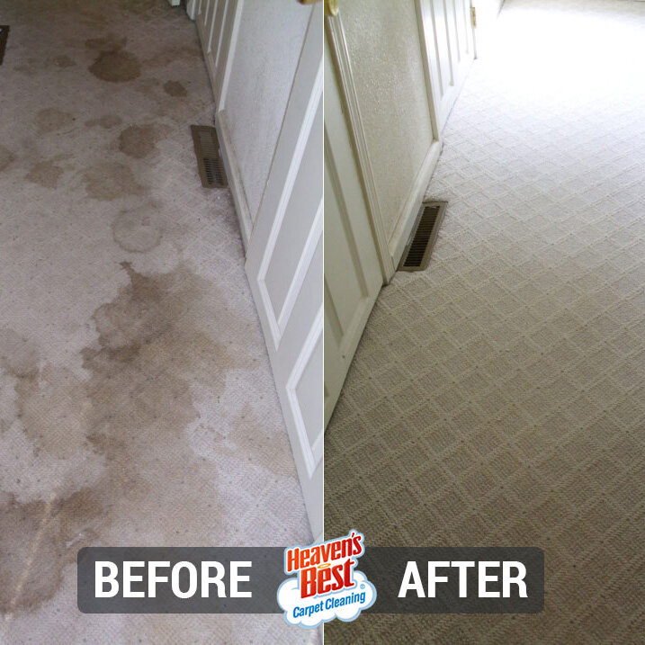 Heaven's Best Carpet Cleaning of Silicon Valley